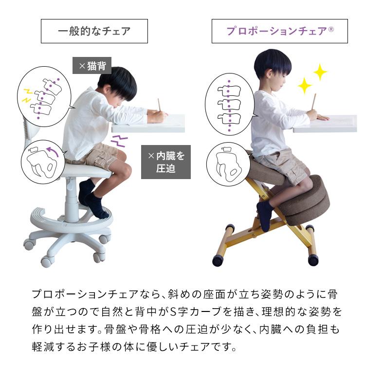 宮武製作所 バランスチェア 姿勢矯正 イス 健康 プロモーションチェア 宮武製作所 メーカー直送 プロポーションチェア 背筋矯正 組立式