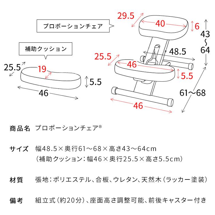 宮武製作所 メーカー直送 プロポーションチェア 背筋矯正 組立式