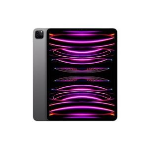 ☆iPad Pro 12.9インチ 第6世代 Wi-Fi 256GB 2022年秋モデル MNXR3J/A