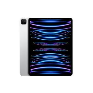 iPad Pro 12.9インチ第6世代シルバー256GB Wifi