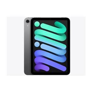 ☆iPad mini 8.3インチ Wi-Fi 256GB 2024年秋モデル MXNA3J/A