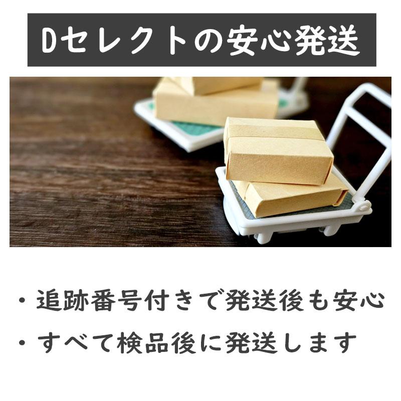 尿漏れパンツ 女性用 ショーツ 失禁 大きいサイズ 大型吸水パッド 安心 介護 産後 レディース | ブランド登録なし | 13