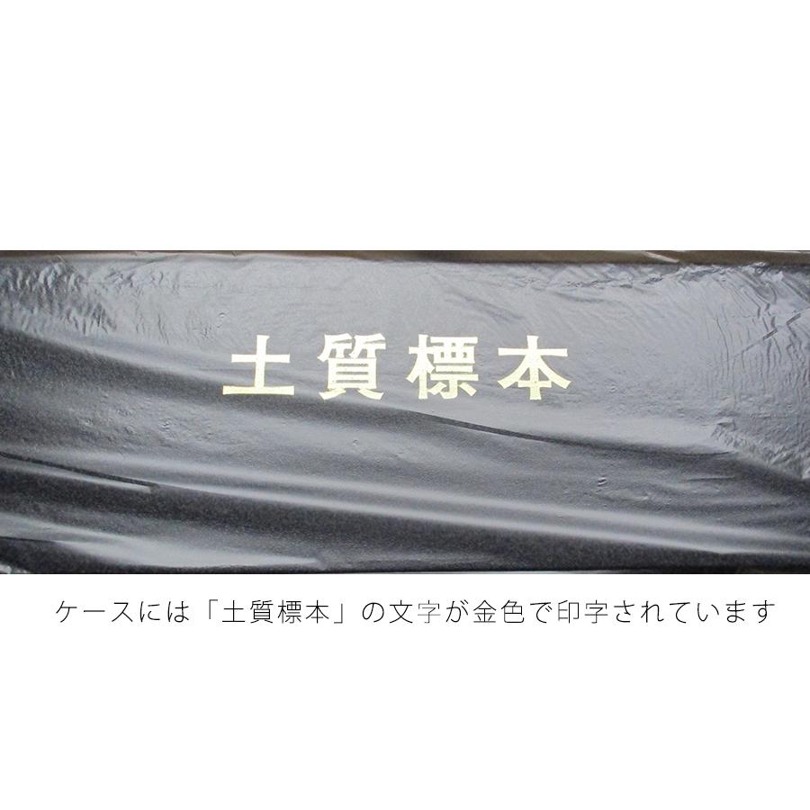 即納】標本箱(10個用) 土質試料ビン付 箱と容器のセットです！ TSS-277
