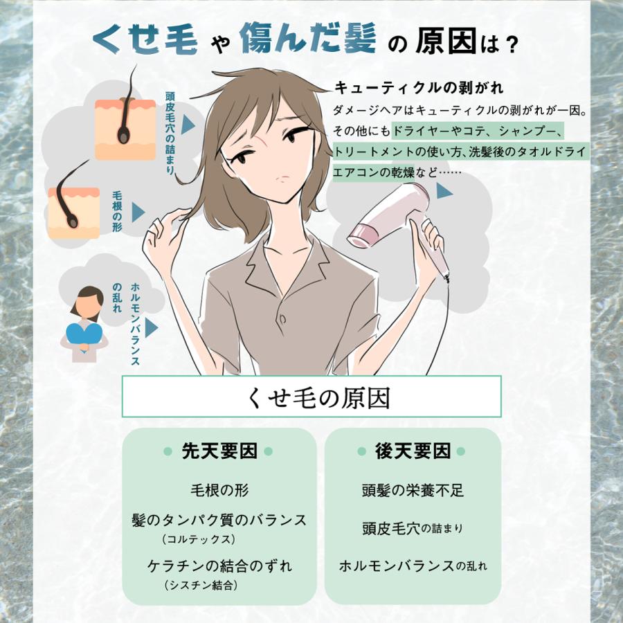 プロフェッショナルアミノ海藻シャンプー1000ml×2本・コンディショナー1000ml×1本・ヘアパック800g×1個 セット 弱酸性 くせ毛 大容量 高品質の画像