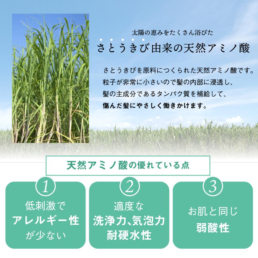 プロフェッショナルアミノ海藻シャンプー1000ml×2本・コンディショナー1000ml×1本・ヘアパック800g×1個 セット 弱酸性 くせ毛 大容量 高品質の画像