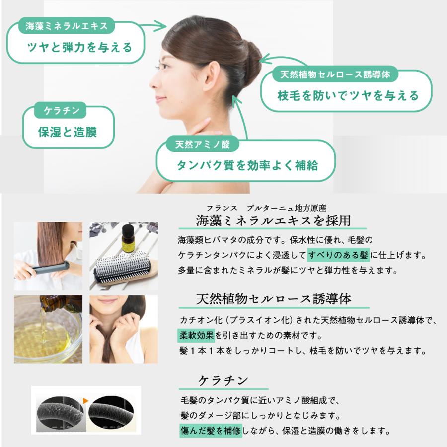 プロフェッショナルアミノ海藻シャンプー1000ml×2本・コンディショナー1000ml×1本・ヘアパック800g×1個 セット 弱酸性 くせ毛 大容量 高品質の画像