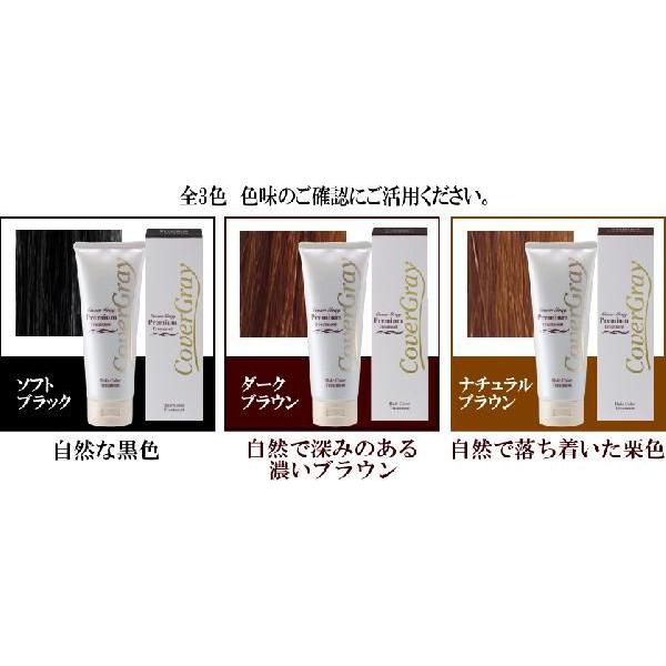 カバーグレイ プレミアム 白髪染 トリートメント 200g ✖️14本セット売り ダイムヘルスケア 白髪染め カバーグレイ プレミアム ヘアカラー