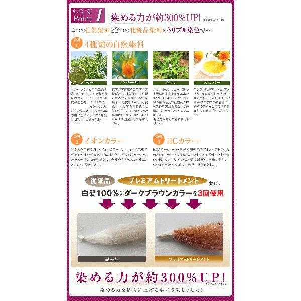 ダイムヘルスケア（DIME HEALTH CARE） 白髪染め カバーグレイ