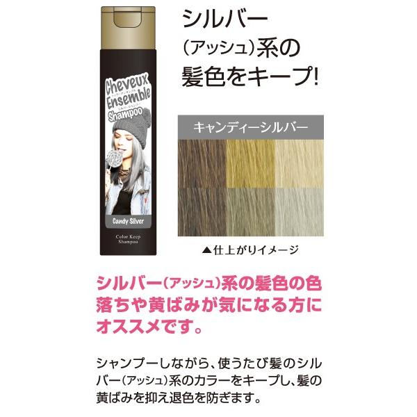 ダイムヘルスケア シュヴーアンサンブル カラーシャンプー 300ml