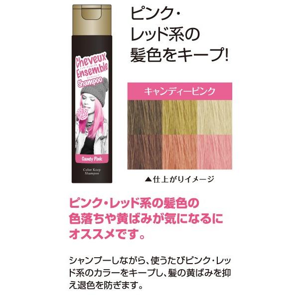 ダイムヘルスケア シュヴーアンサンブル カラーシャンプー 300ml