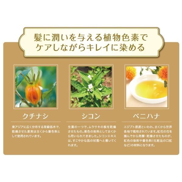 新品未使用品　ベルジュバンスカラー剤YC3 3本とシャンプー 1000ℓセット 色が選べます 3本セット 送料無料 新品 ベルジュバンス 弱酸性白髪