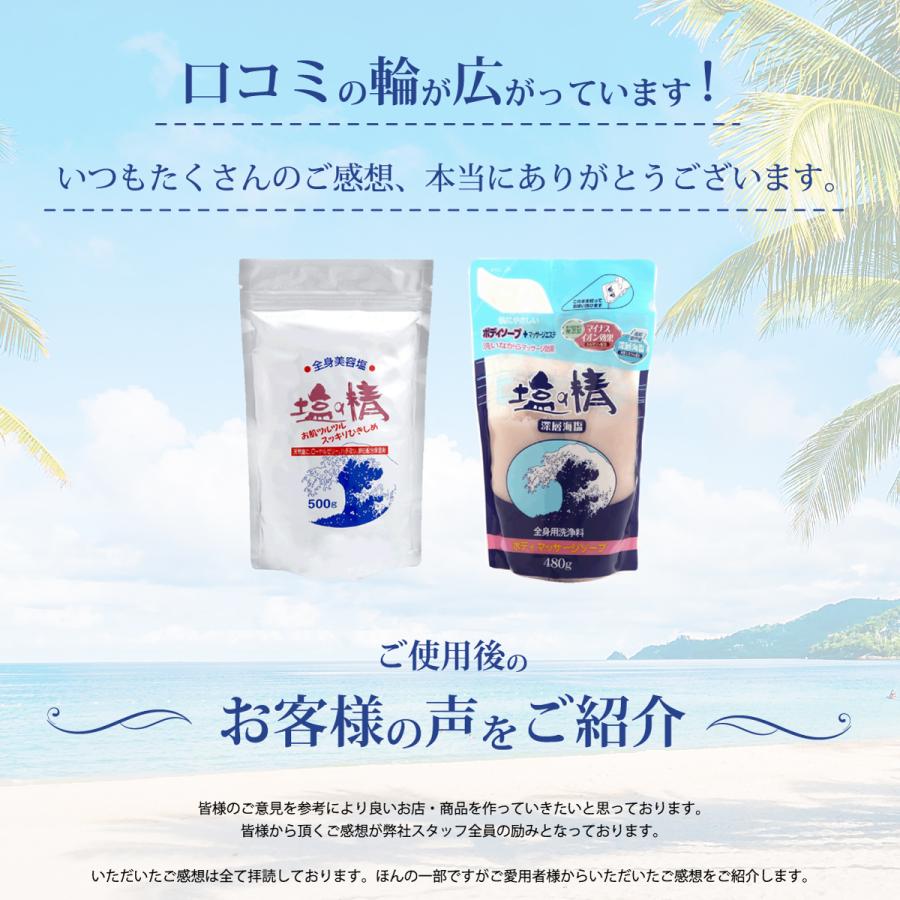ダイムヘルスケア 送料込み 全身マッサージ用美容塩 塩の精 500g