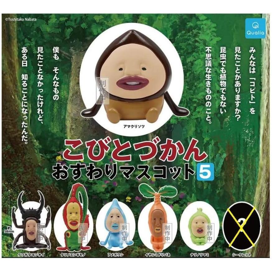 Qualia（クオリア） (シークレットなし) こびとづかん おすわり