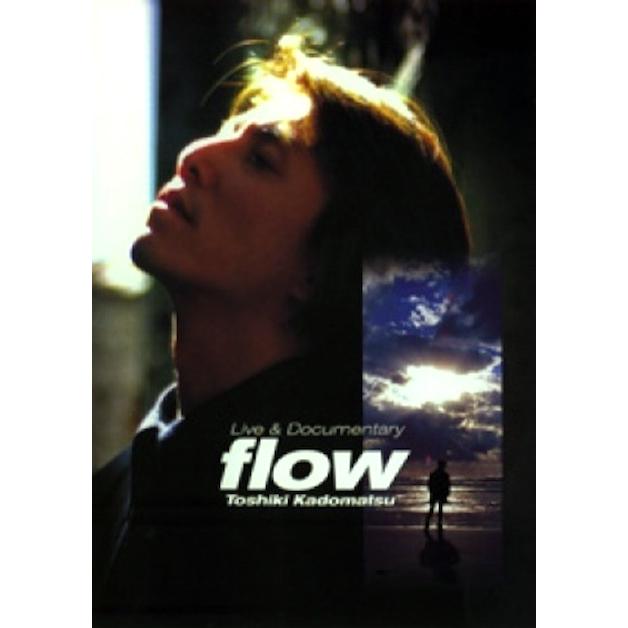 ボーナスストアPlus 10％対象 廃盤 角松敏生 DVD Live&Documentary 