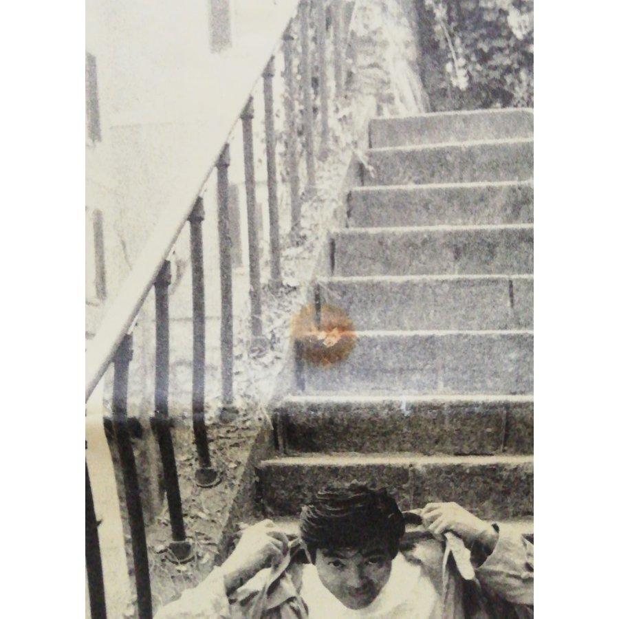 優良配送 (USED品/中古品) 廃盤 柴田恭兵 FC会報 KYOHEI NEWS