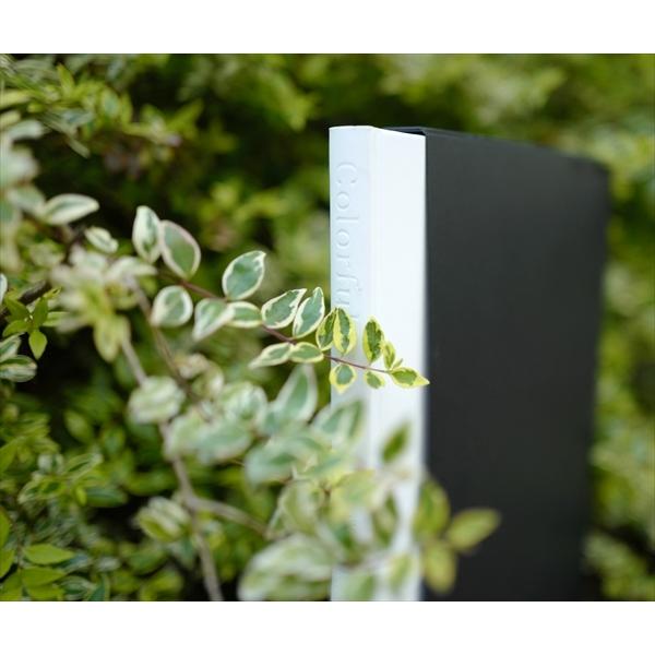 ポイント2倍] Colorful : 代官山 蔦屋書店 ヤフー店 - 通販 - Yahoo