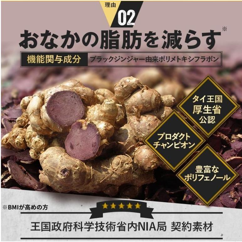 Wバスター 尿酸値を下げる お腹の脂肪を減らす サプリ 1ヶ月分