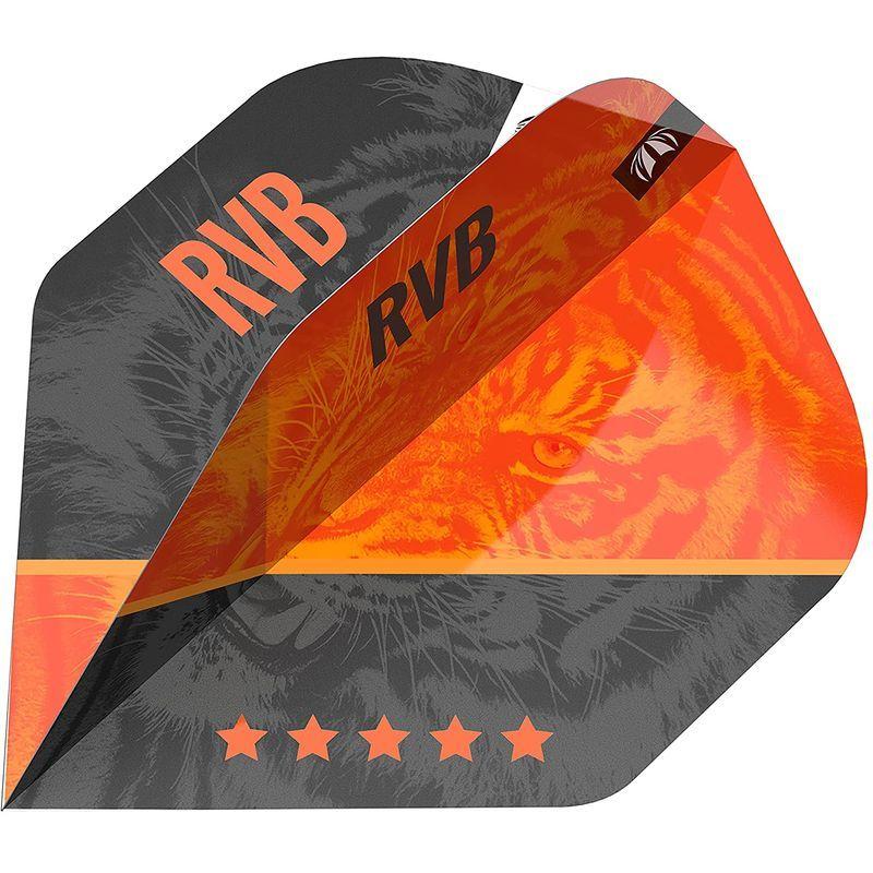 ターゲット RVB 95 レイモンド・ヴァン・バーナベルドモデル ジェネレーション4 スイスポイント 25g 210130 RVB レイモンド ヴァン バーナベルドモデル ジェネレーション4 スイスポイント 25g