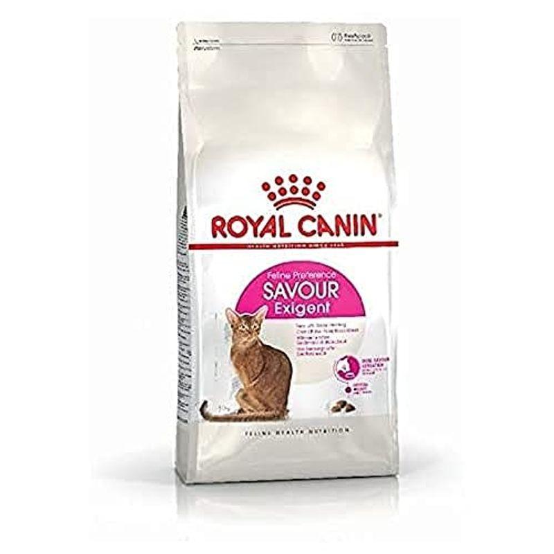 裁断済み 犬と猫の病態生理 売れ筋