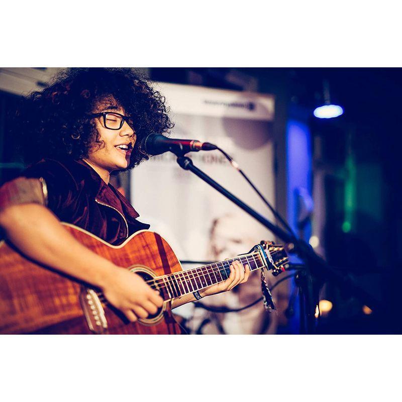 BeyerDynamic べイヤーダイナミック TOURING GEARシリーズ ダイナミック型マイクロホン ハイパーカーディオイド TG ハイパーカーディオイド べイヤーダイナミック TOURING GEARシリーズ ダイナミック型マイクロホン TG