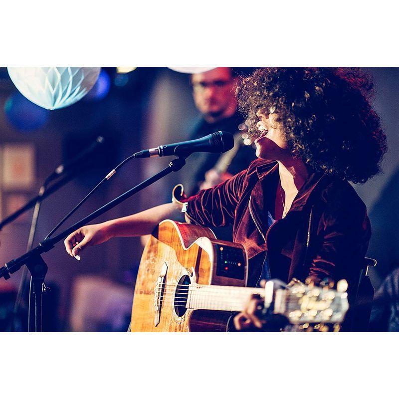 BeyerDynamic べイヤーダイナミック TOURING GEARシリーズ ダイナミック型マイクロホン ハイパーカーディオイド TG ハイパーカーディオイド べイヤーダイナミック TOURING GEARシリーズ ダイナミック型マイクロホン TG