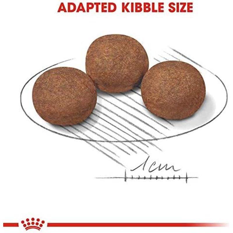 ロイヤルカナン SHN ミディアム ジュニア 犬用 10kg SHN ミディアム ジュニア 犬用 10kg