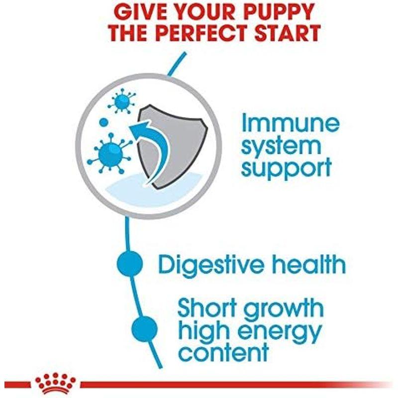 ロイヤルカナン SHN ミディアム ジュニア 犬用 10kg SHN ミディアム ジュニア 犬用 10kg
