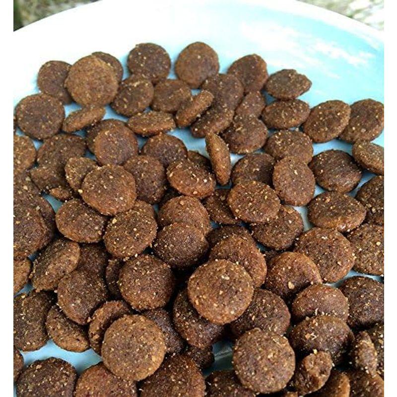 クプレラ ホリステイック グレインフリー 9.08kg 08kg ホリステイック グレインフリー