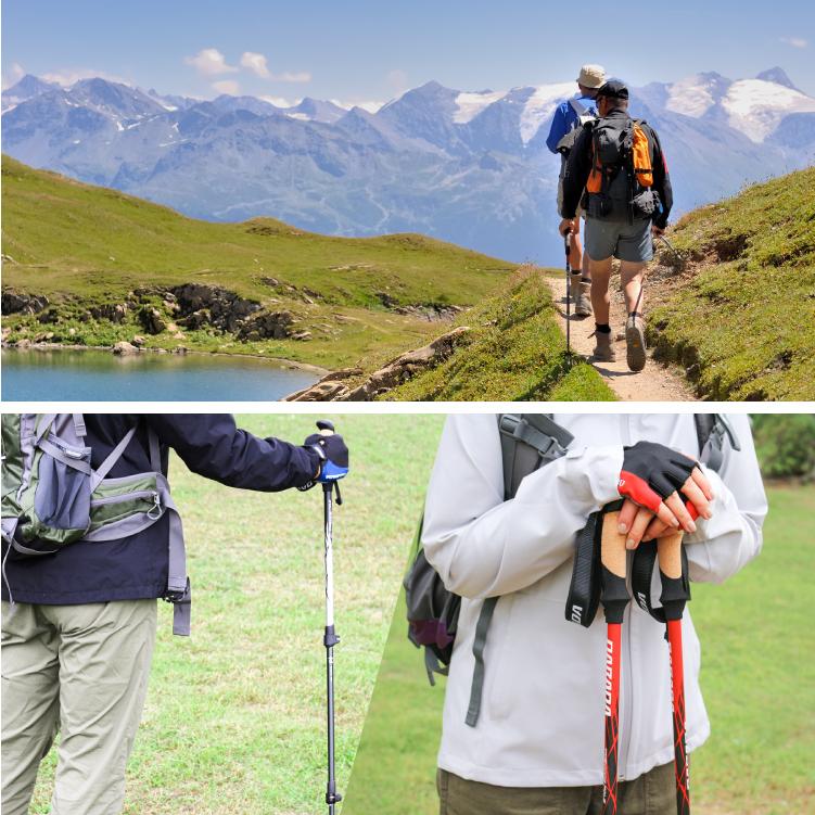 DABADA アルミ製 トレッキングポール カムロック式 収納袋付き 最長135cm/最短63cm 2本セット 登山杖 apolelg