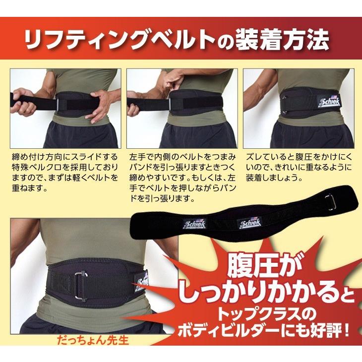Schiek シーク リフティングベルト モデル4006 レッド : だっちょん