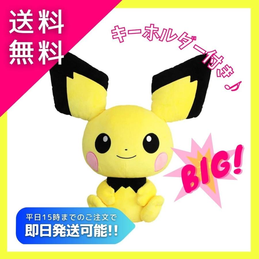 最大96 オフ ピチュー Oteire Please ぬいぐるみ マスコット ポケモン Www Hallo Tv