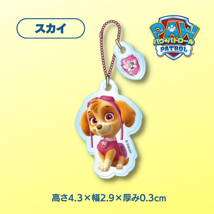 未使用級 パウパトロール マーシャル スカイ サイコロ