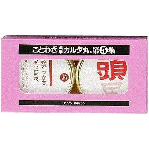 1487円 アイテム勢ぞろい ことわざ漢字カルタ丸 第5集