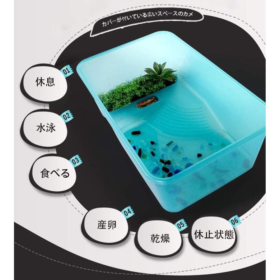 爬虫類 飼育ケース 亀 水槽 ケージ オープンタートルタンクココナッツの木とテラス付き 輸送ボックス 産卵箱 テラリウム 両生類ペット用品