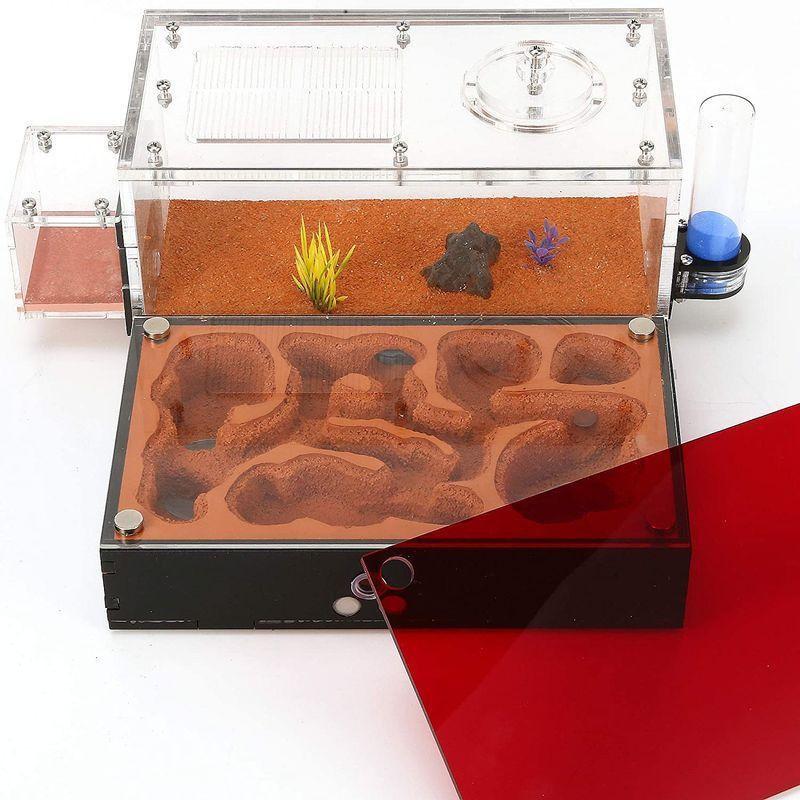 ハイグレードEnergyPower モルタル製アリ巣箱 平面タイプ 蟻活動スペース/給水器/エサ場付き 土やゲルを使用しないので腐らず清潔 モルタル製アリ巣箱 平面タイプ 蟻活動スペース/給水器/エサ場付き 土やゲルを使用しないので腐らず清潔