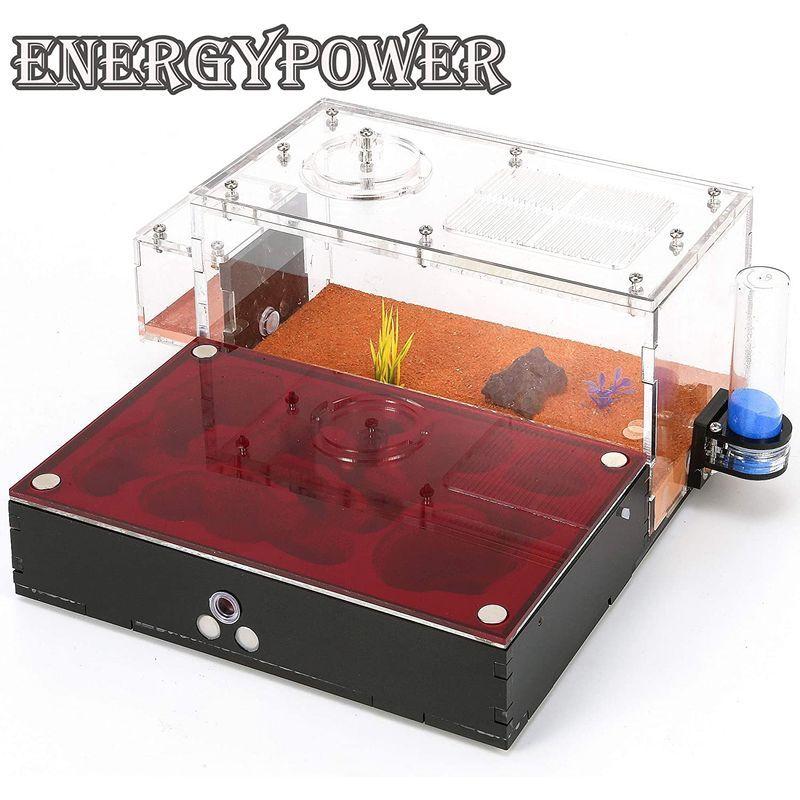 ハイグレードEnergyPower モルタル製アリ巣箱 平面タイプ 蟻活動スペース/給水器/エサ場付き 土やゲルを使用しないので腐らず清潔 モルタル製アリ巣箱 平面タイプ 蟻活動スペース/給水器/エサ場付き 土やゲルを使用しないので腐らず清潔