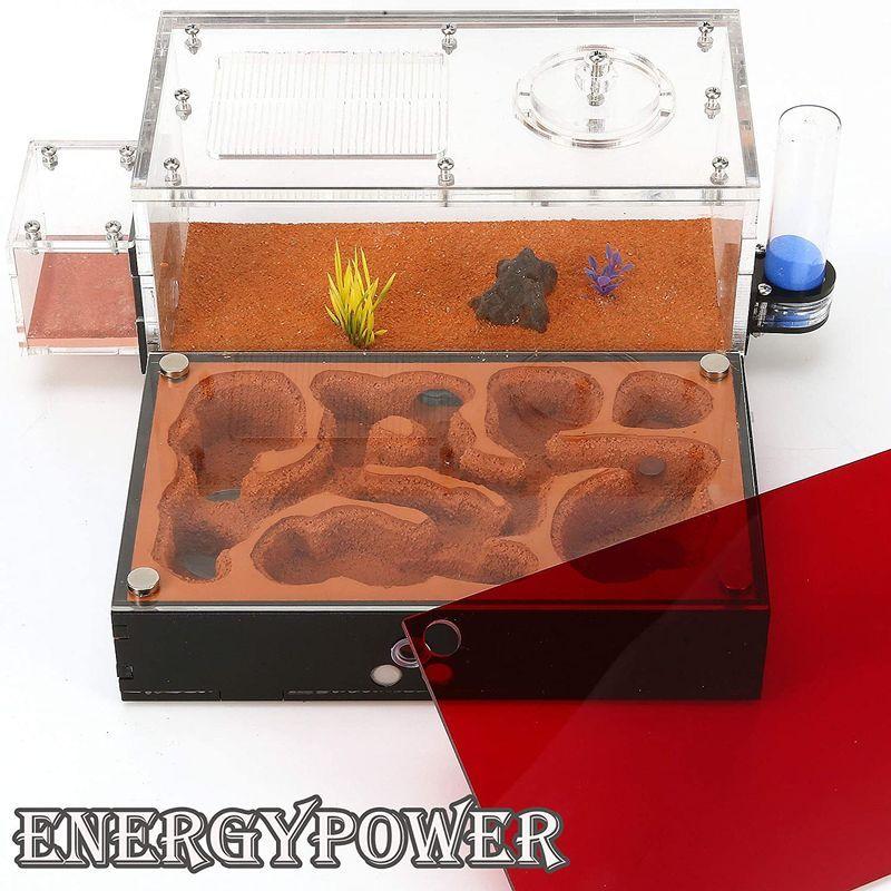 ハイグレードEnergyPower モルタル製アリ巣箱 平面タイプ 蟻活動スペース/給水器/エサ場付き 土やゲルを使用しないので腐らず清潔 モルタル製アリ巣箱 平面タイプ 蟻活動スペース/給水器/エサ場付き 土やゲルを使用しないので腐らず清潔