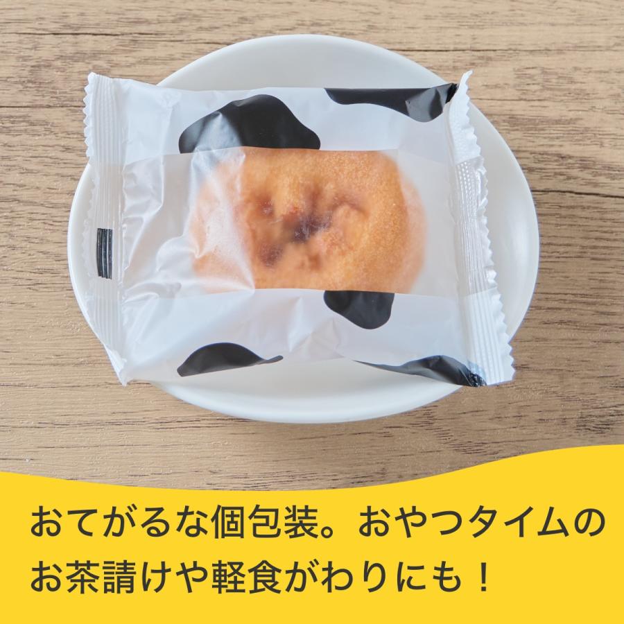 コストコ（Costco） おいしいドーナツ おためし 6個 個包装 スイーツ