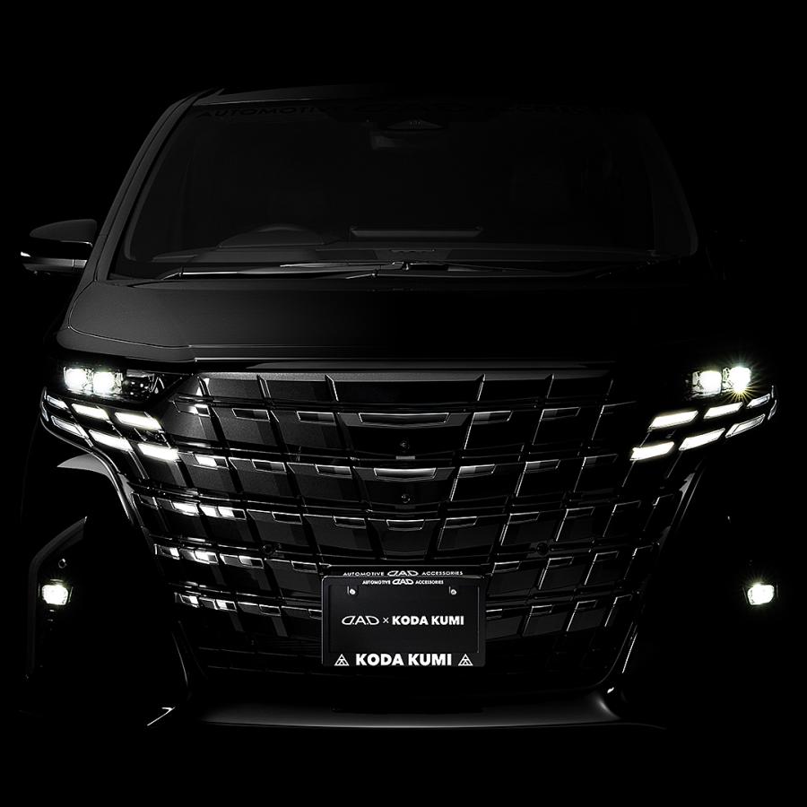 D.A.D 【数量限定！倖田來未コラボ】D.A.D × KODA KUMI ナンバー