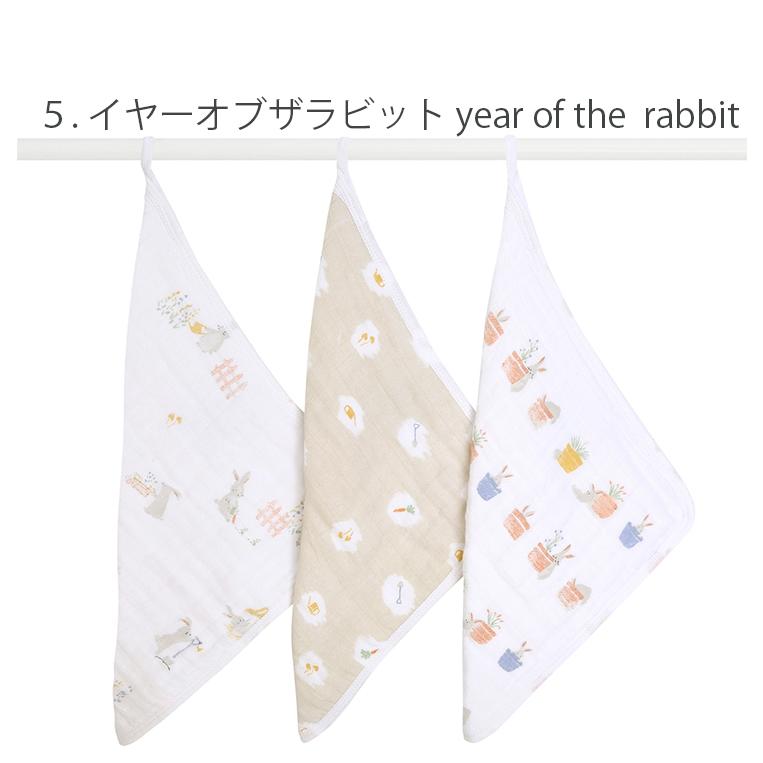 aden+anais（エイデンアンドアネイ） ウォッシュクロス 3枚 セット