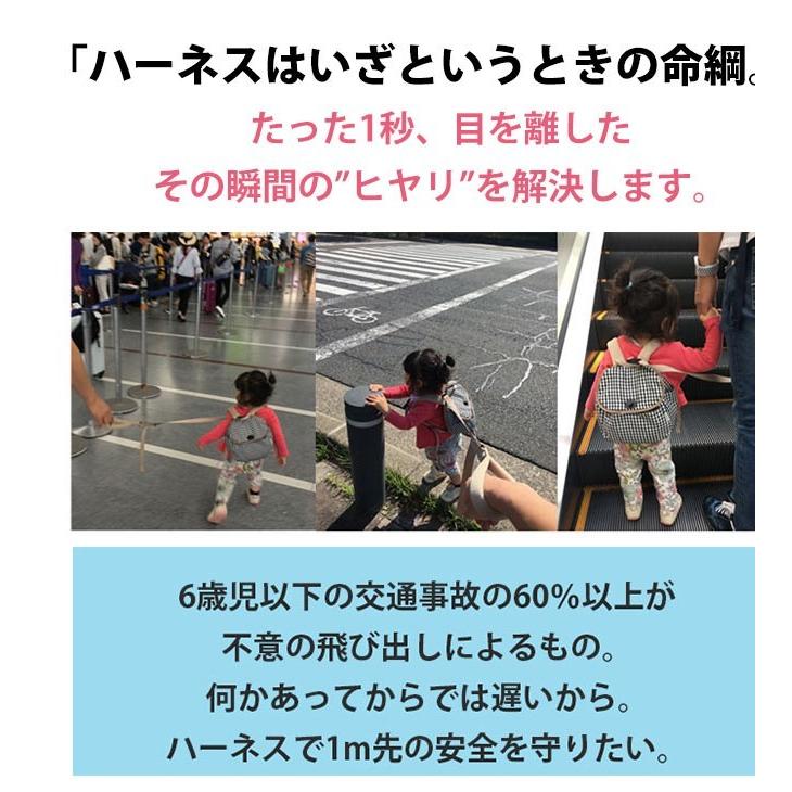 子供用ハーネス ベビーリュック アウトレット品 リュック ハーネス ハーネス付き ダディッコ 迷子 ひも 赤ちゃん プレゼント 誕生日 おしゃれ 一升餅 リュックサック 1歳