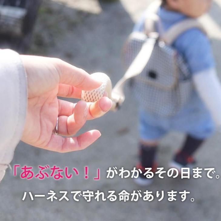 子供用ハーネス ベビーリュック 名入れ 赤ちゃん リュック 名前入り リュックサック 一升餅 1歳 誕生日 2歳 男の子 女の子 ハーネス 迷子 出産祝い プレゼント Dc S15 ダディッコ ベビーキッズセレクト 通販 Yahoo ショッピング