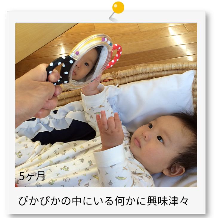 知育玩具 cyl-11.5 作ってみよう！マイ・ファースト ボール転がし: ｜教育・保育関係者