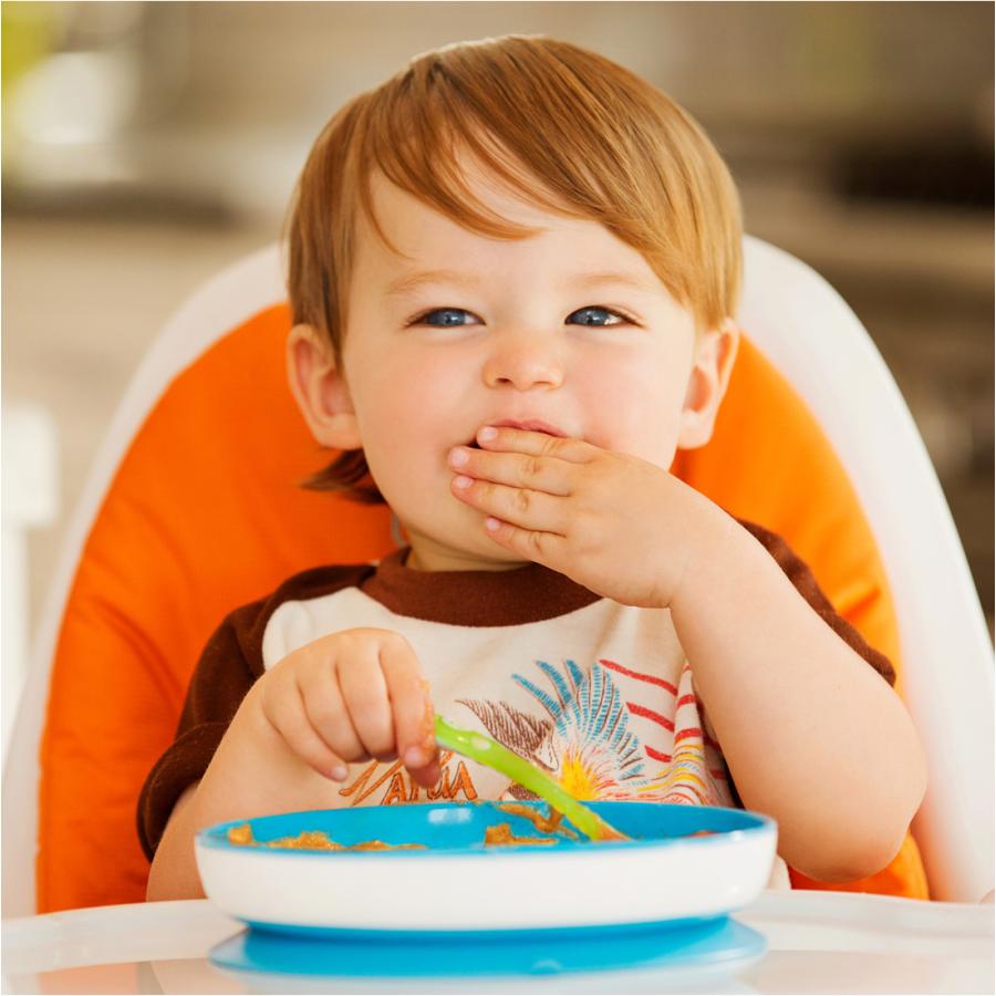 送料無料お手入れ要らず 新色グレー追加 Oxo Tot オクソートット くっつく ランチプレート 食事 子供 自分食べ 食器 女の子 男の子 吸盤付き Babylonrooftop Com Au