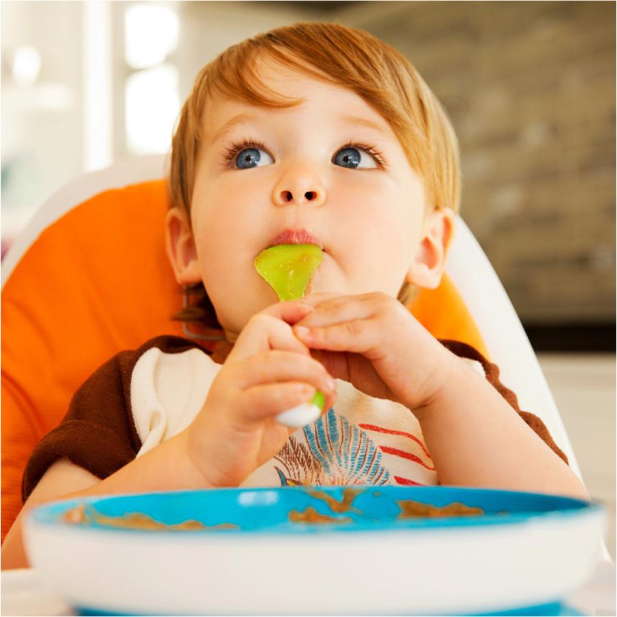 送料無料お手入れ要らず 新色グレー追加 Oxo Tot オクソートット くっつく ランチプレート 食事 子供 自分食べ 食器 女の子 男の子 吸盤付き Babylonrooftop Com Au