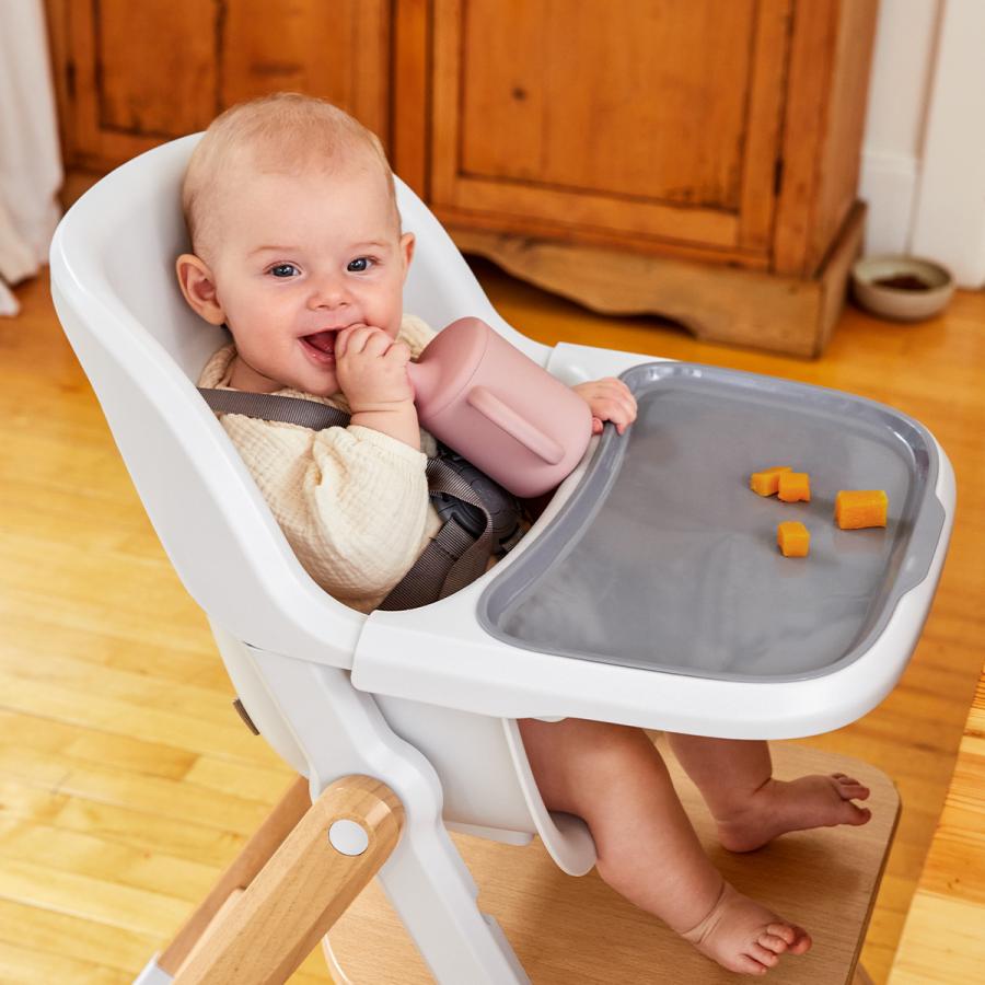 ergobaby（エルゴベビー） 新商品 evolve ハイチェア | エボルブ