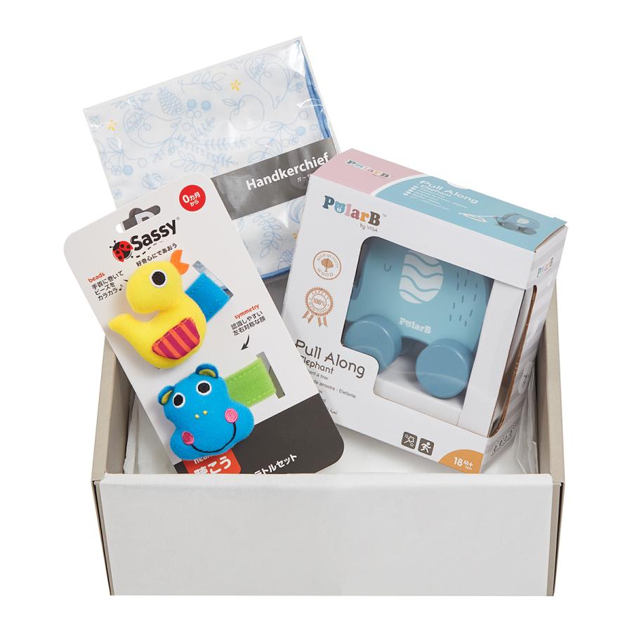 Sassy（サッシー） ＼限定セット／ ダッドウェイ 出産祝いセット TOY&