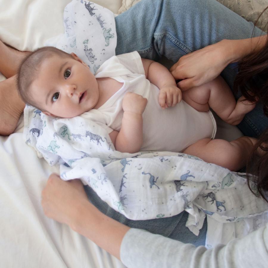 おくるみ スワドル エイデンアンドアネイ aden+anais 2枚セット ダブルガーゼ 新生児 出産祝い ギフト 授乳ケープ 日よけ 多用途 | aden+anais | 18