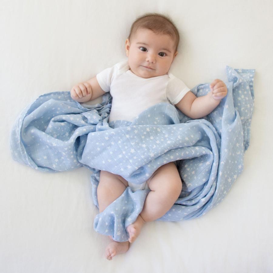 おくるみ スワドル エイデンアンドアネイ aden+anais 2枚セット ダブルガーゼ 新生児 出産祝い ギフト 授乳ケープ 日よけ 多用途 | aden+anais | 19