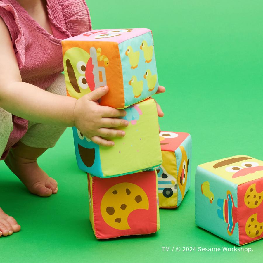 K's Kids（ケーズキッズ） ふかふか布ブロック | セサミストリート